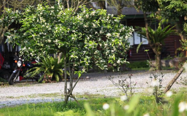 Green Forest Villa