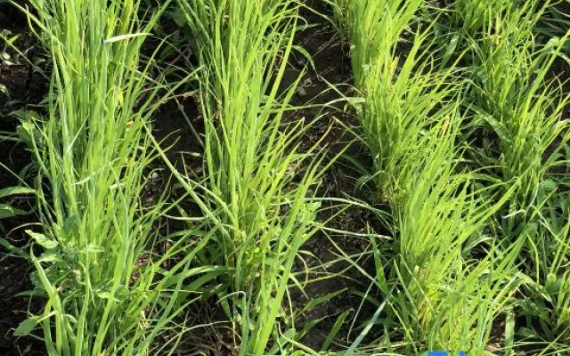 Liuli Shanshui Folk Restaurant