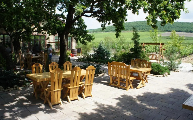 Mini Hotel Vinoterriia