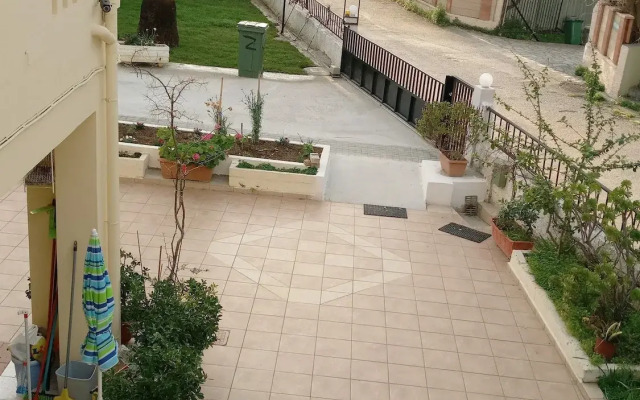 Zinovia