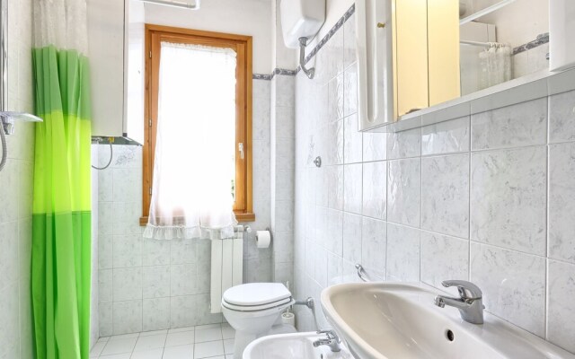 Croco Sughera in Sughera