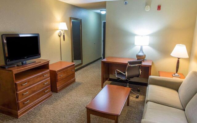 Comfort Inn Opelika - Auburn