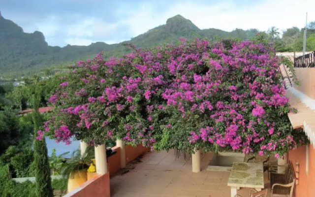 Villa Rea Hanaa