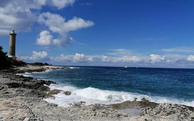 Silvana - 100 m From Beach - A1