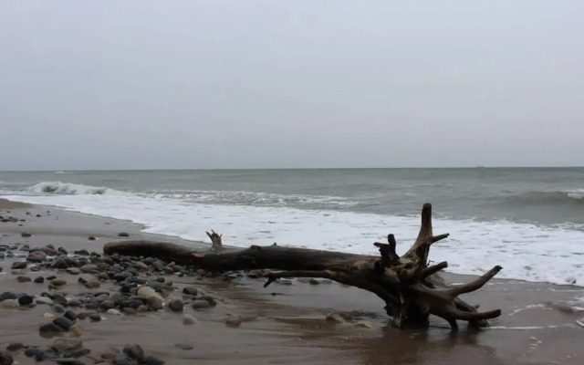 Ostseebrandung - Haus Seestern