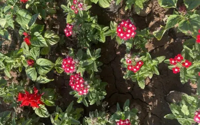 Panshan Shuyuan Guesthouse