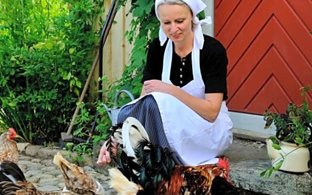 Vildrosor & Höns