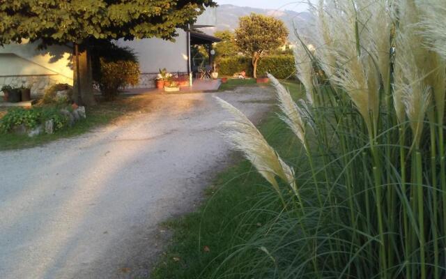 Il Tiglio B&B