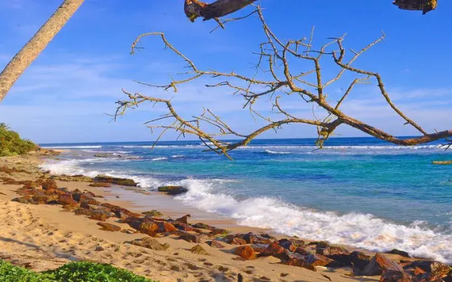Beach Mirissa