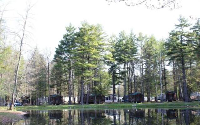 Alpine Lake Lakefront Cabin 7