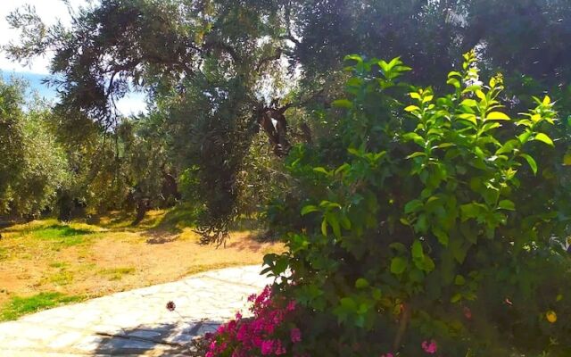 Villa Leonidas GreeceFiloxenia