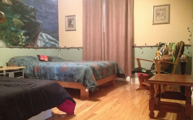 The White Rabbit B&B