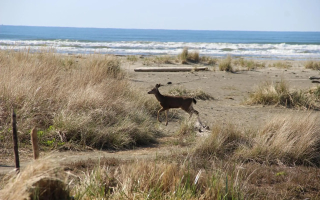 Quinault Beach Resort & Casino