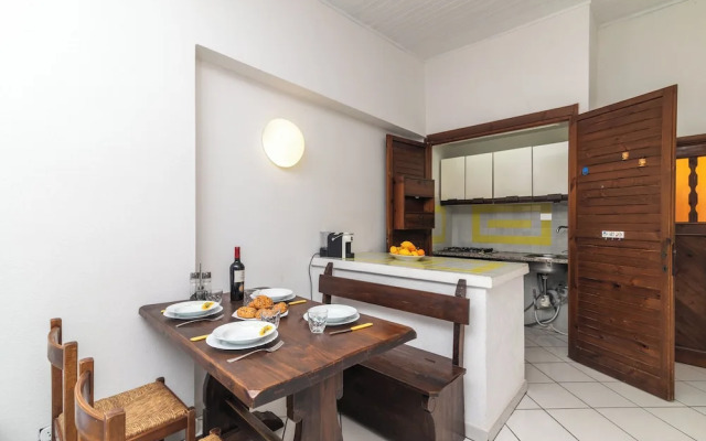 Trilo Super Standard 205 Ginepro