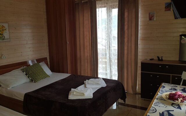 Guest House Diogrina