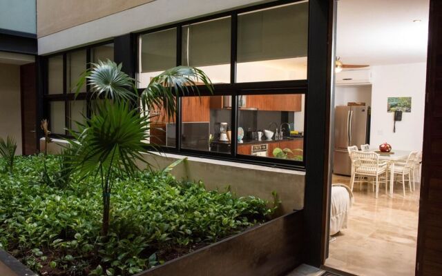 Kuxtal 205 by iMexico