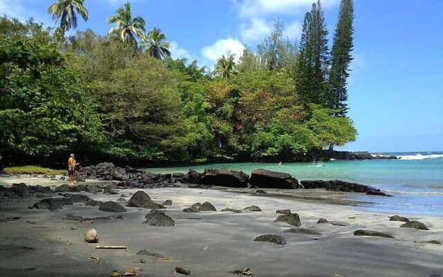 Hale O'hia Lehua 3 Bedroom Home by RedAwning