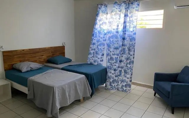 Vaste appartement rénové au cœur de STE ANNE