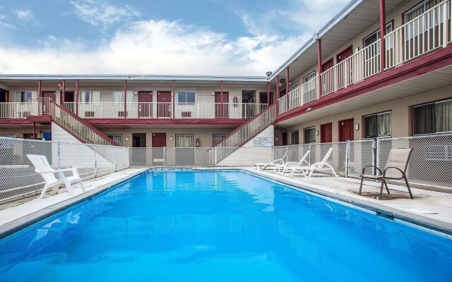 Flamingo Inn