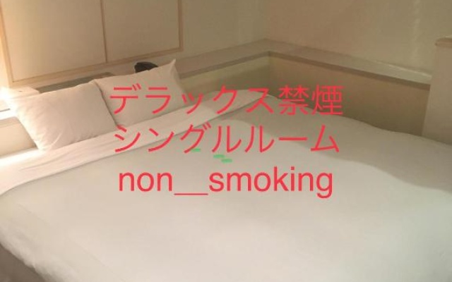 디럭스 객실 사진 1
