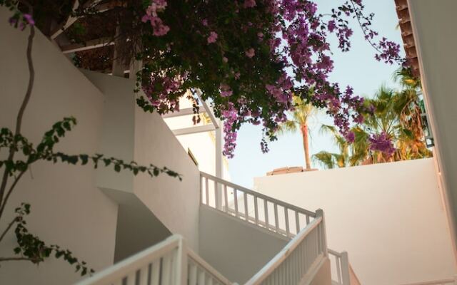 Hotel Estefanía Boutique Suites