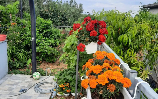 Studio apartman Mare