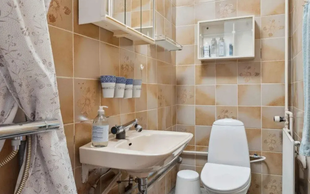 5 Star Holiday Home in Skagen