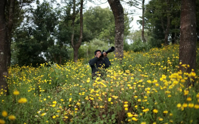 Logan Camp Ooty