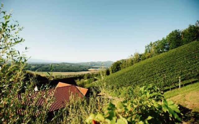 Bauernhof und Weingut Strablegg