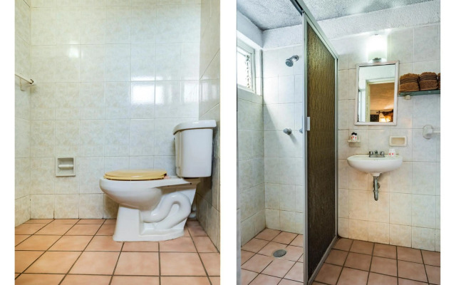 Capital O Colón,  Ciudad Guzmán Jalisco