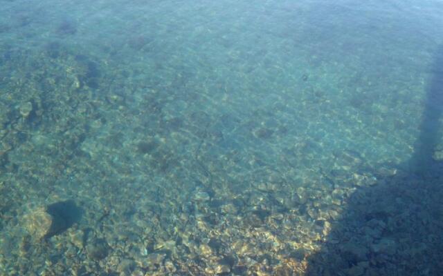 Vesna - 100 m From sea - A3