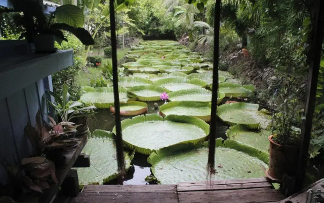 Sasi Nonthaburi Hotel