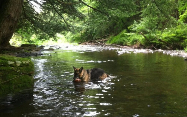 Tentrr - Sands Creek Camp