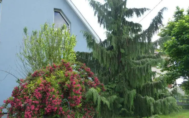 Holiday home A Travers Les Vignes