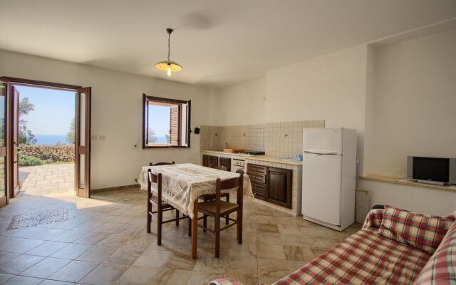 Salvia Lovely Seaview