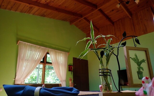 Cassidini House