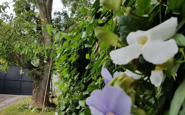 Kongtree Villa