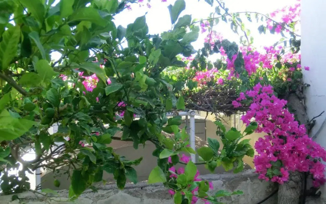 Santorini Youth Hostel