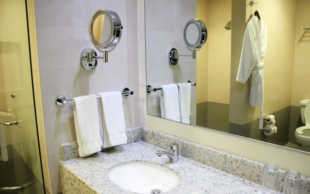 Crowne Plaza Leon by IHG