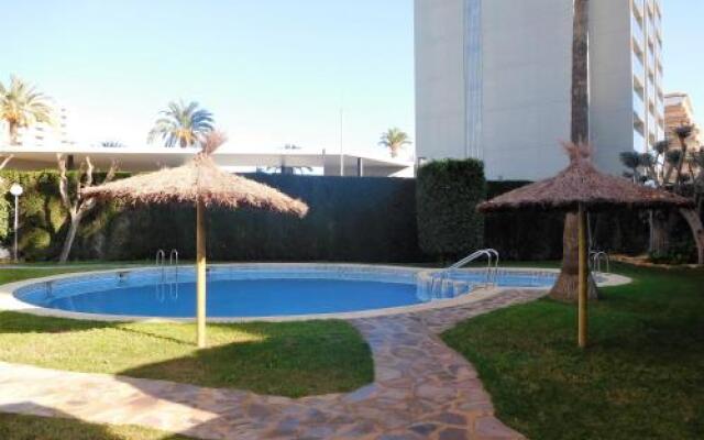 Sunny Beach Apartment