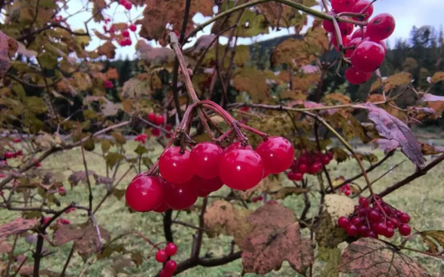 Na Hutori