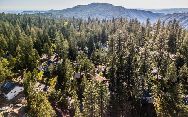 High Sierra Cabin w/ Grill, Serene Location!