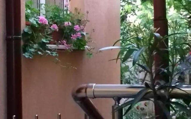 Guest House Nedelchevi