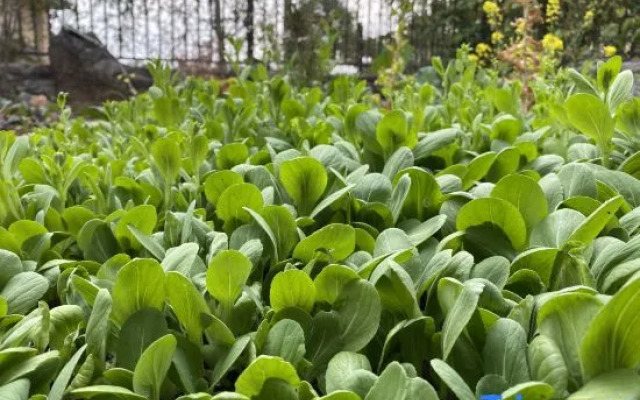 Tengchong XuShe holiday Villa