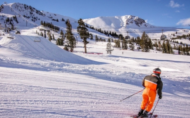 Mammoth Green Condos