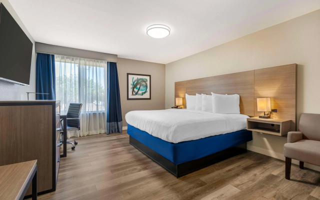 Best Western Plus Lewisville Flower Mound