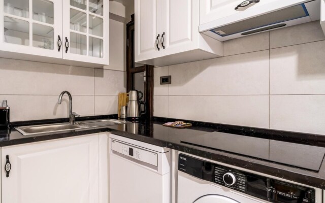 Convenient Flat w Garden 10 min to Galataport