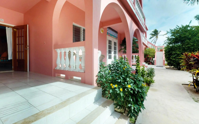 Saponaria 21-22 at Caribe Island Gold Standard Certified