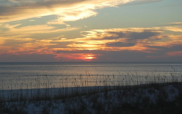 Treetop Retreat by RedAwning