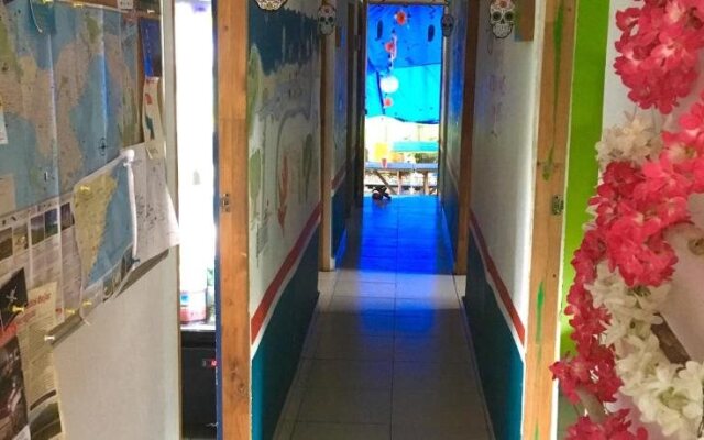 Taca Tucan Hostel